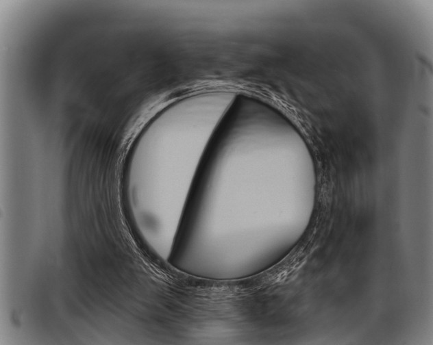 X0000098110103200804040810