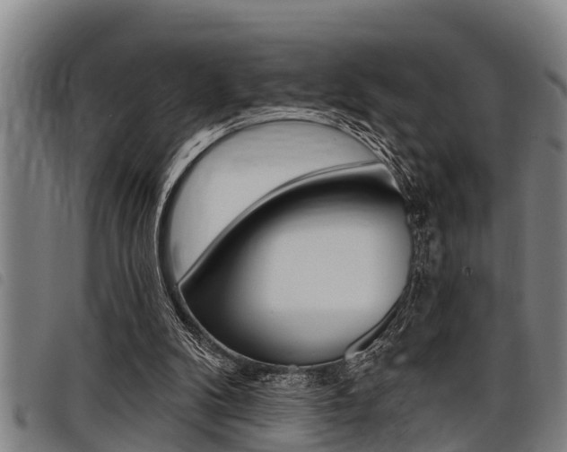 X0000098110104200804040810
