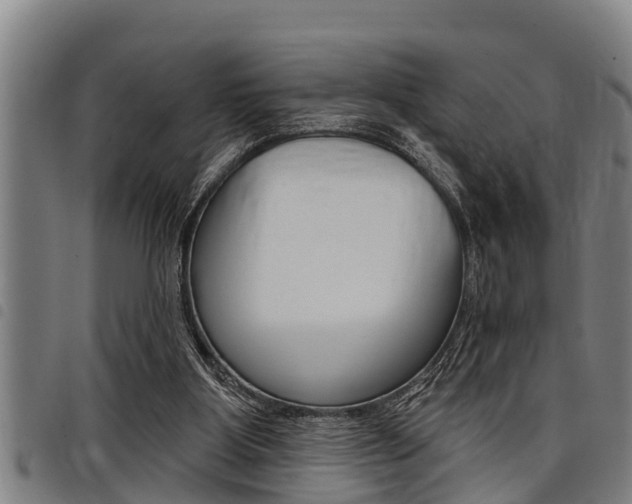 X0000098110107200804040810