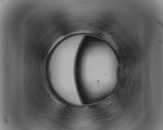 X0000098110108200804040810