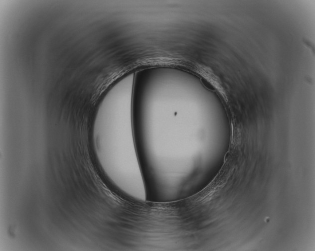 X0000098110109200804040810