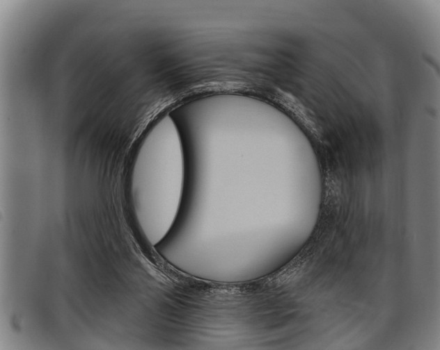 X0000098110110200804040810