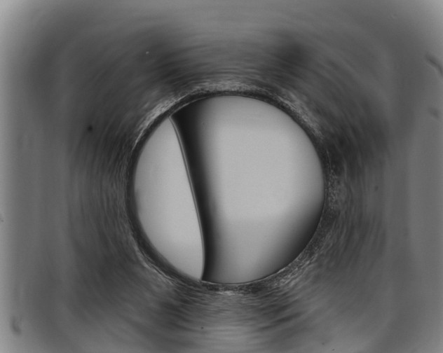 X0000098110111200804040810