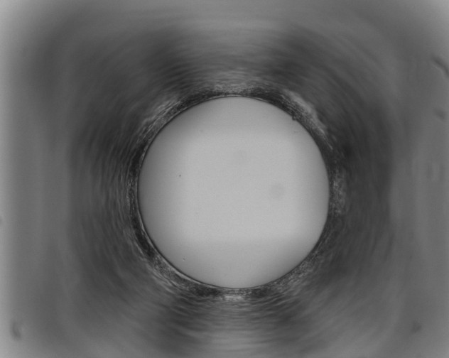 X0000098110114200804040810