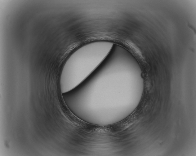 X0000098110115200804040810