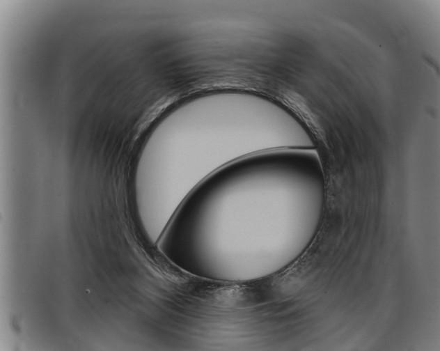 X0000098110116200804040810