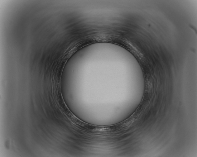 X0000098110117200804040810
