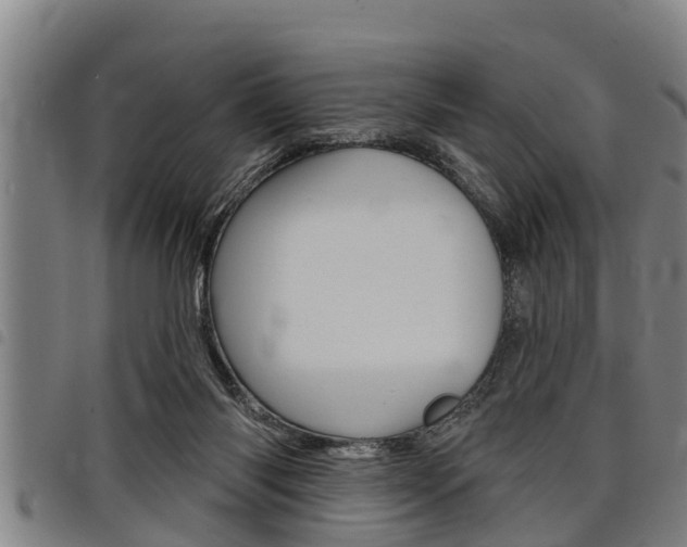 X0000098110118200804040810