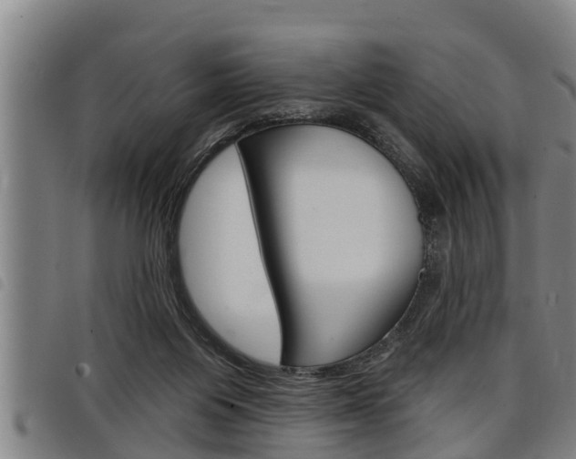 X0000098110119200804040810