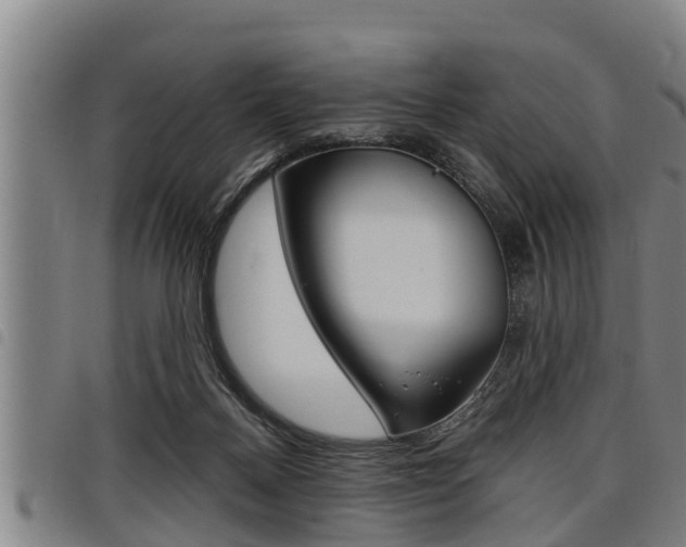 X0000098110120200804040809
