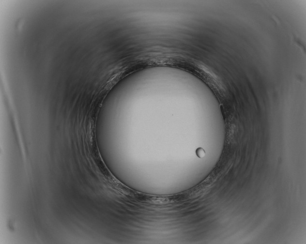 X0000098110121200804040809