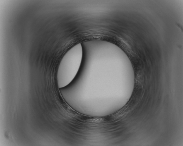 X0000098110122200804040809