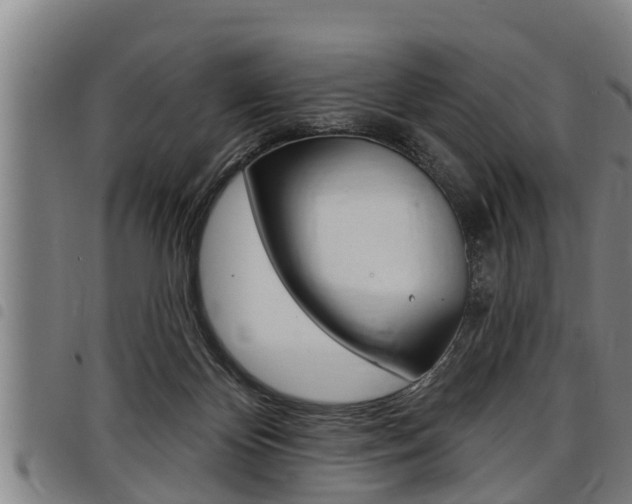 X0000098110124200804040809