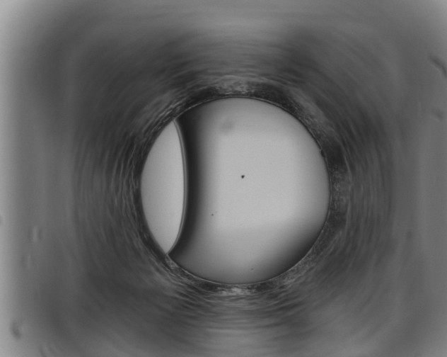 X0000098110125200804040809