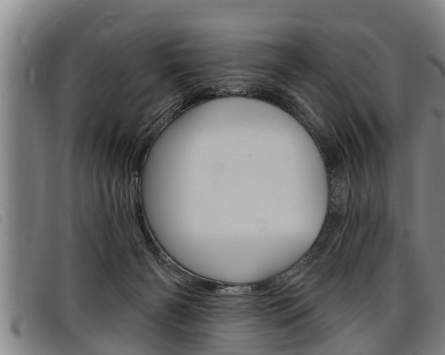 X0000098110126200804040809
