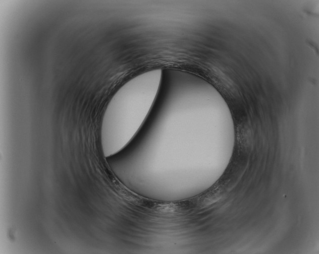 X0000098110127200804040809