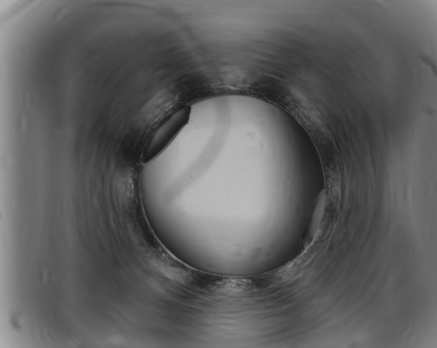X0000098110128200804040809