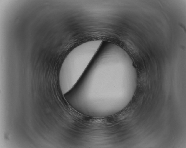 X0000098110129200804040809