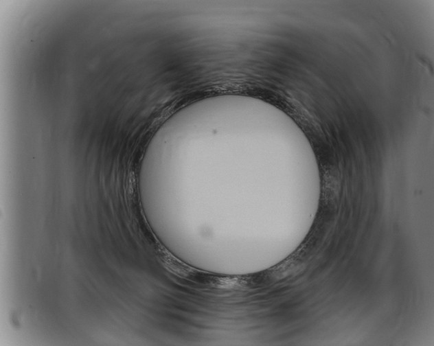 X0000098110130200804040809