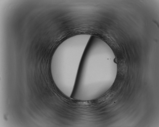 X0000098110131200804040809