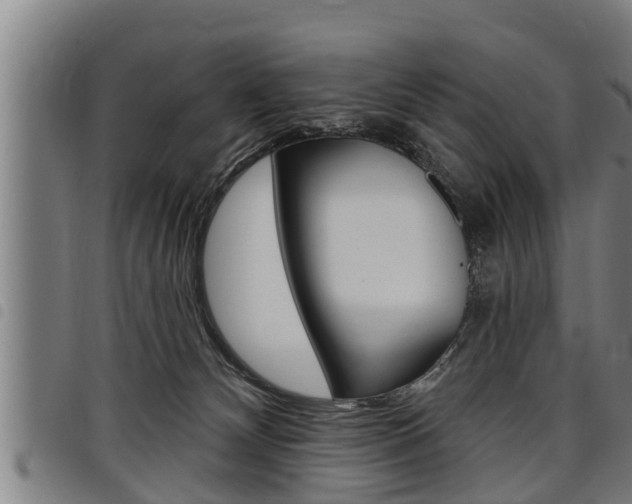 X0000098110132200804040809