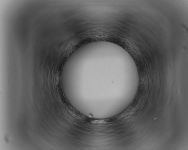 X0000098110133200804040809