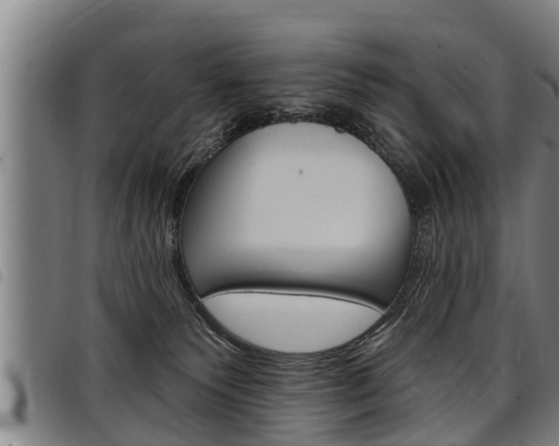 X0000098110135200804040809