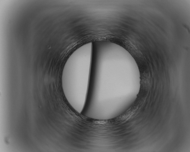 X0000098110139200804040809