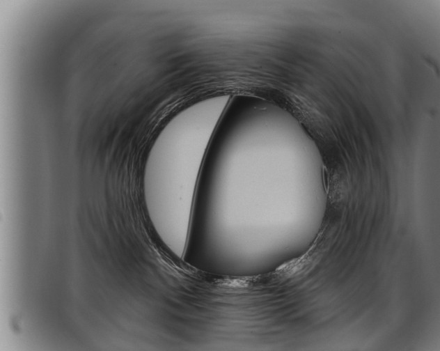 X0000098110140200804040809