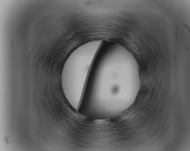 X0000098110141200804040809