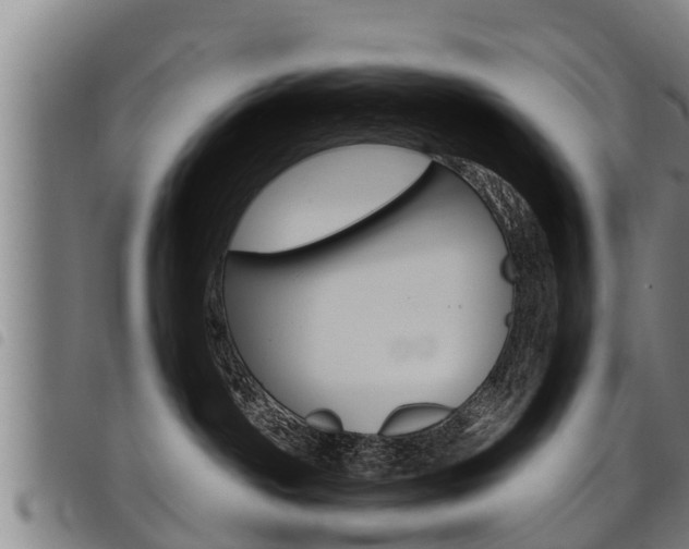 X0000098110142200804040809