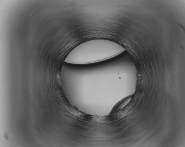 X0000098110143200804040809