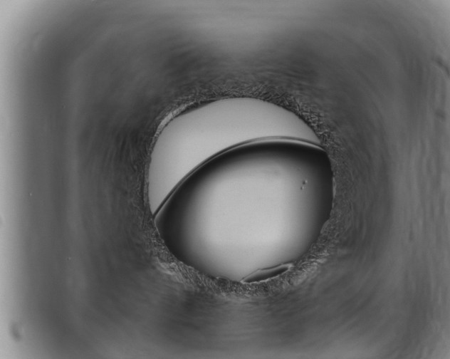 X0000098110144200804040809