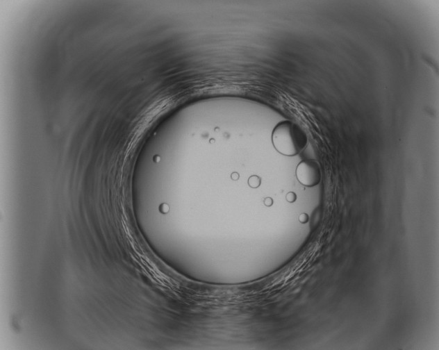 X0000098110145200804040809