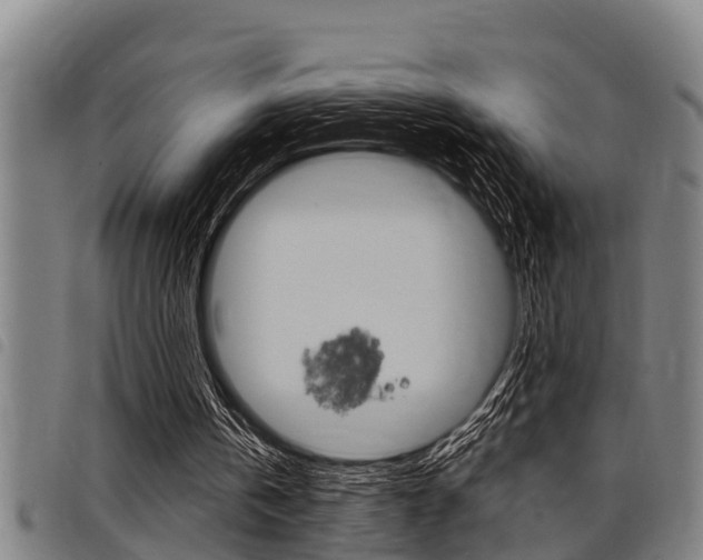 X0000098110146200804040809