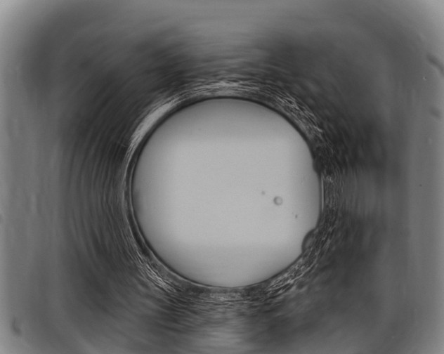 X0000098110147200804040809