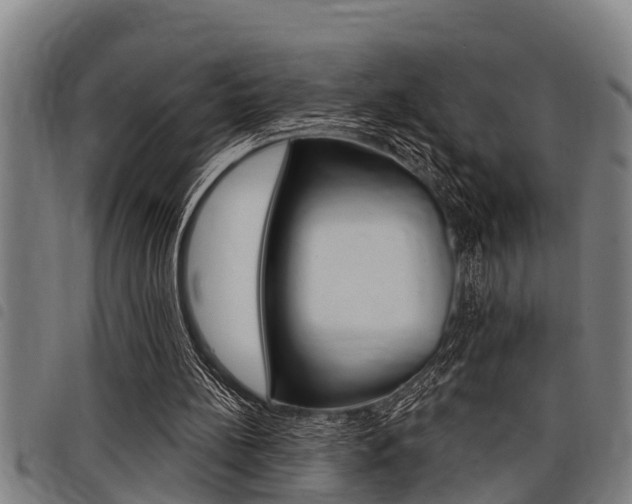 X0000098110148200804040809