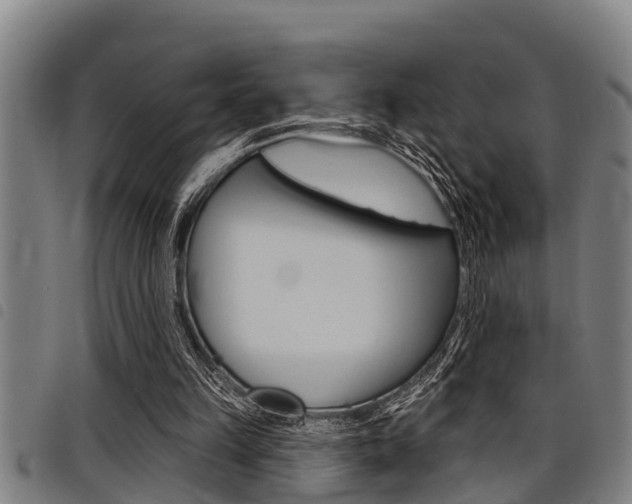 X0000098110149200804040809