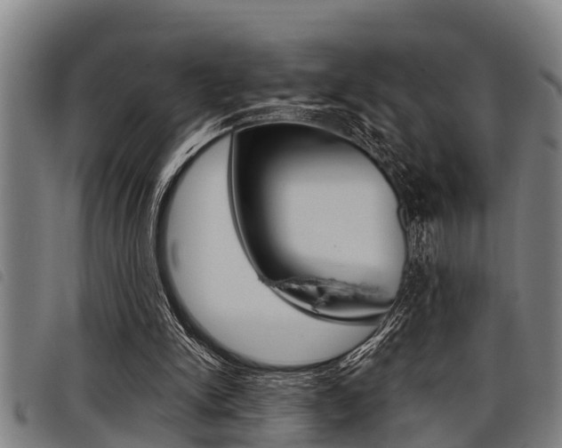 X0000098110150200804040809