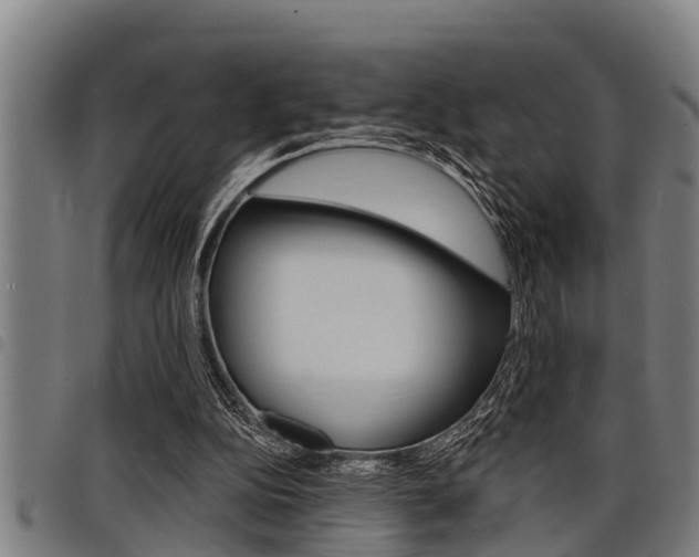 X0000098110152200804040809