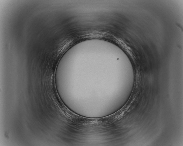 X0000098110153200804040809