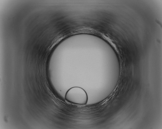X0000098110154200804040809