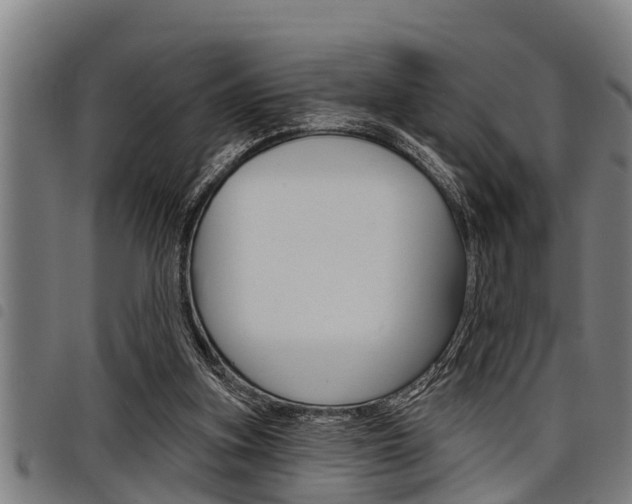 X0000098110155200804040809