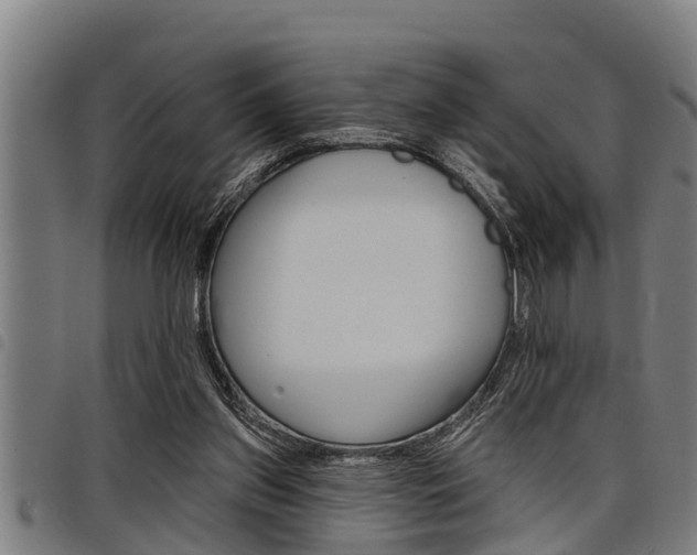 X0000098110157200804040809