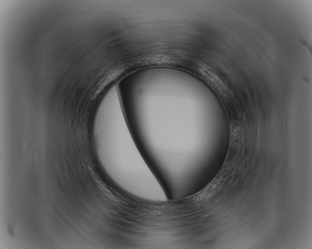 X0000098110158200804040809