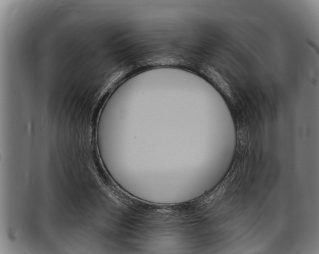X0000098110159200804040809