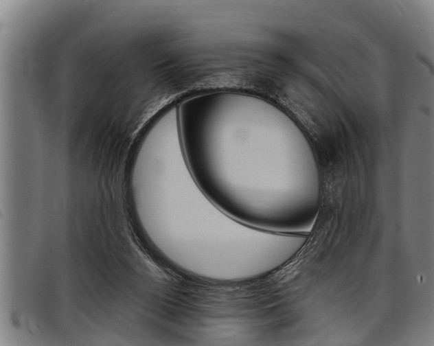 X0000098110160200804040809