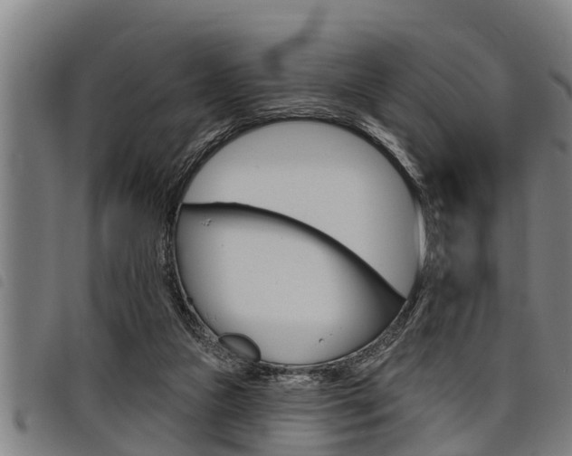 X0000098110161200804040809