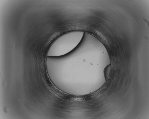 X0000098110163200804040809