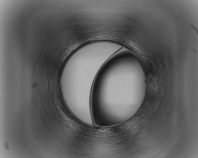 X0000098110164200804040809